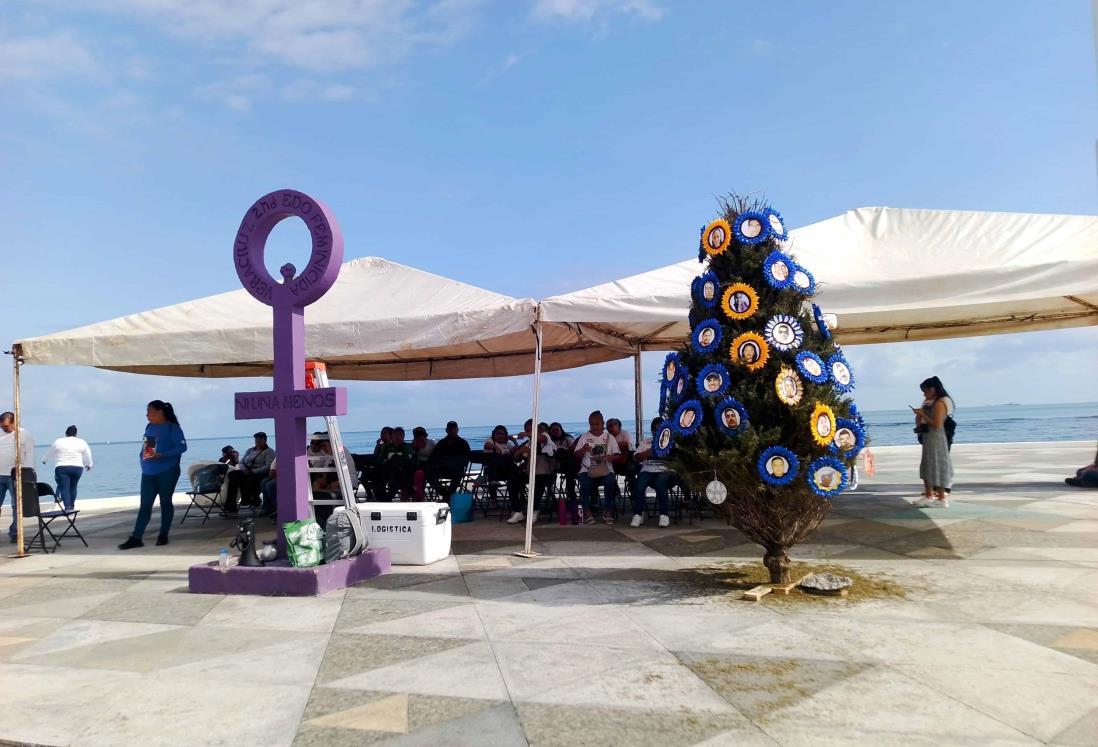 Colocan Árbol de la Ausencia en Plaza de la Soberanía en Veracruz | VIDEO