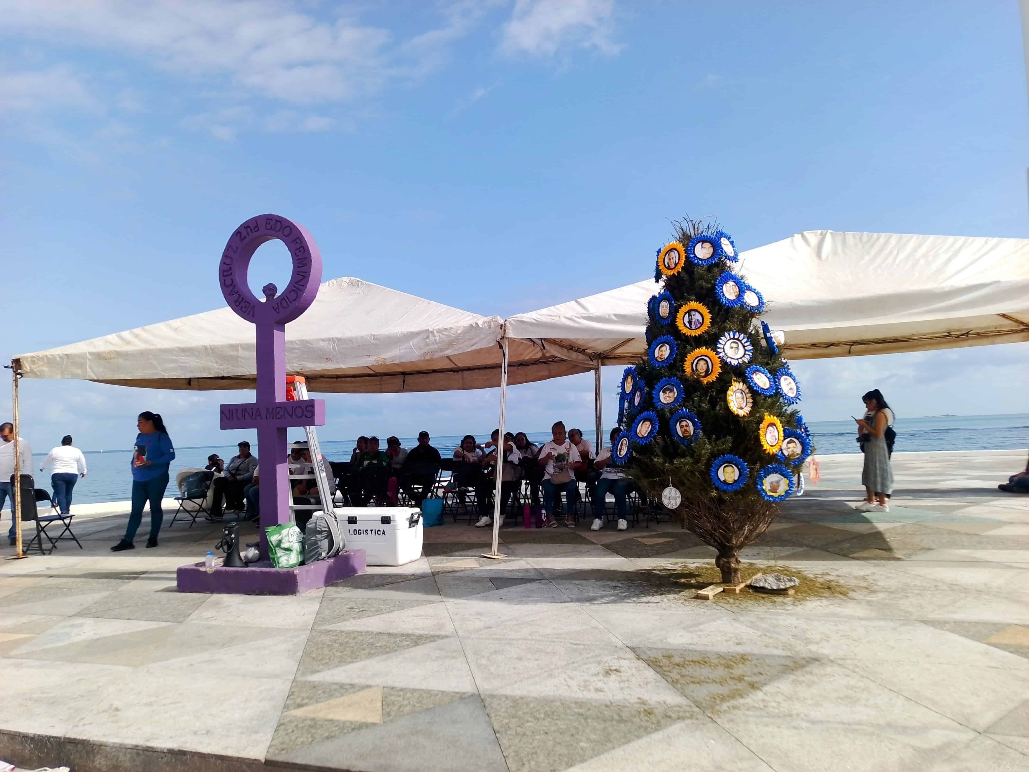 Colocan Árbol de la Ausencia en Plaza de la Soberanía en Veracruz | VIDEO