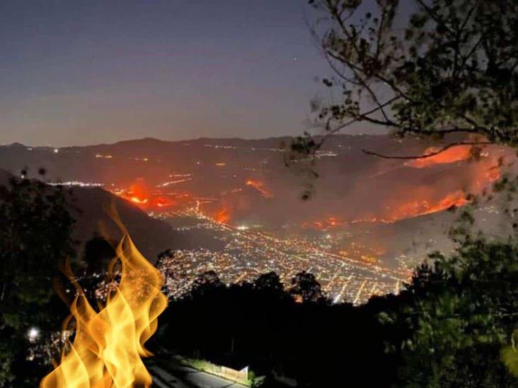 En Veracruz, 235 incendios forestales y más de 15 mil hectáreas quemadas en 2024