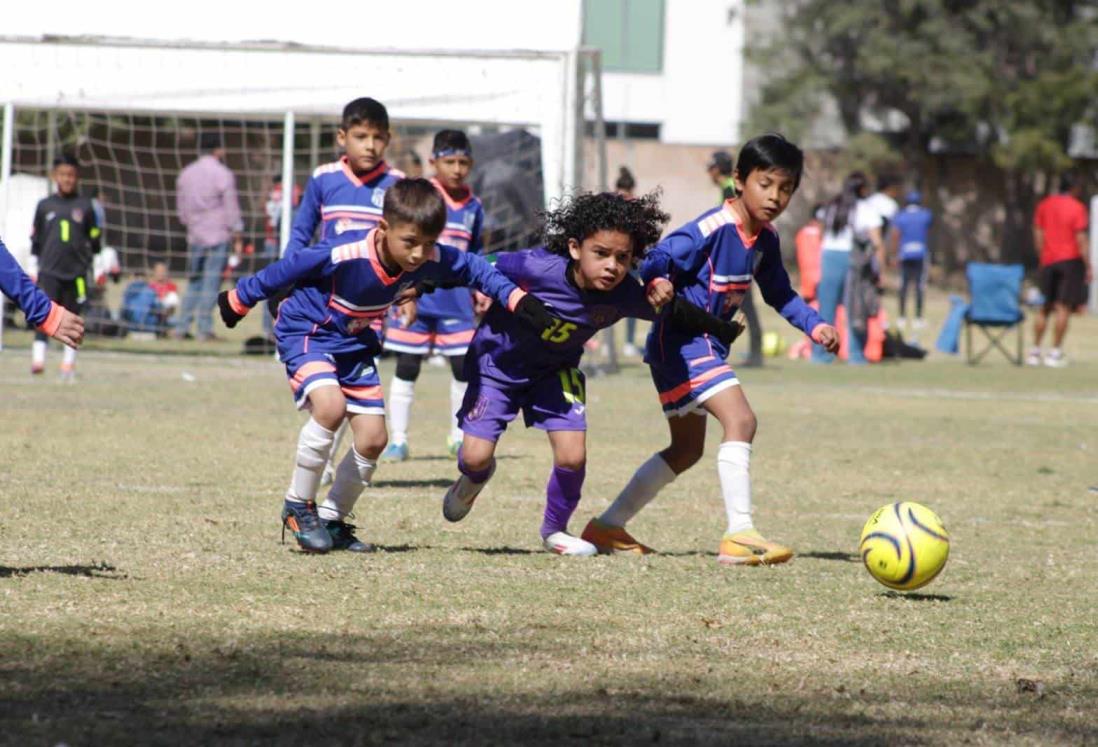 Brilla Racing de Veracruz en la Copa Franja