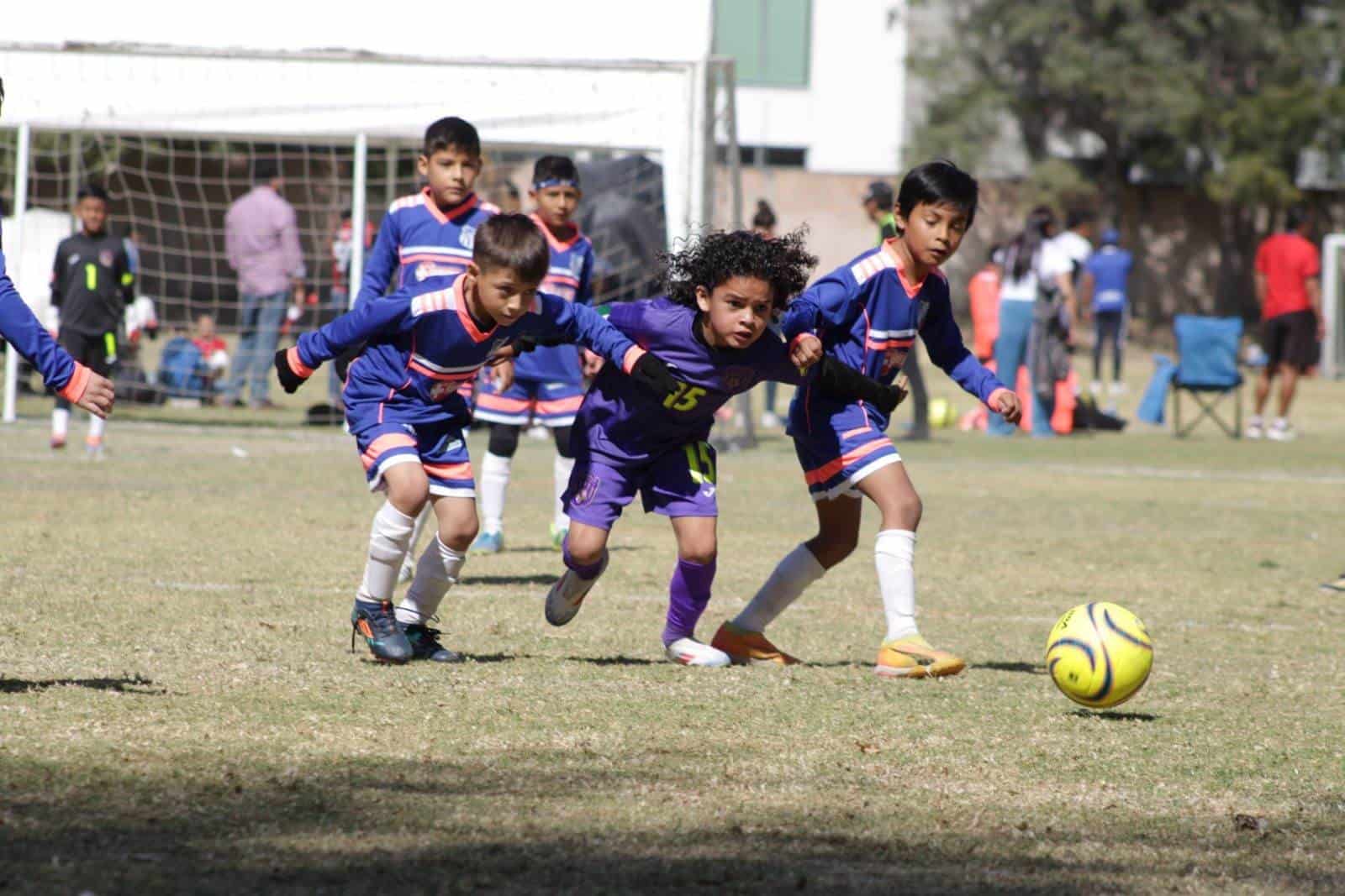 Brilla Racing de Veracruz en la Copa Franja