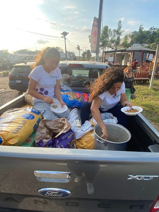 Realizan caravana para dar comida a animales abandonados de Veracruz