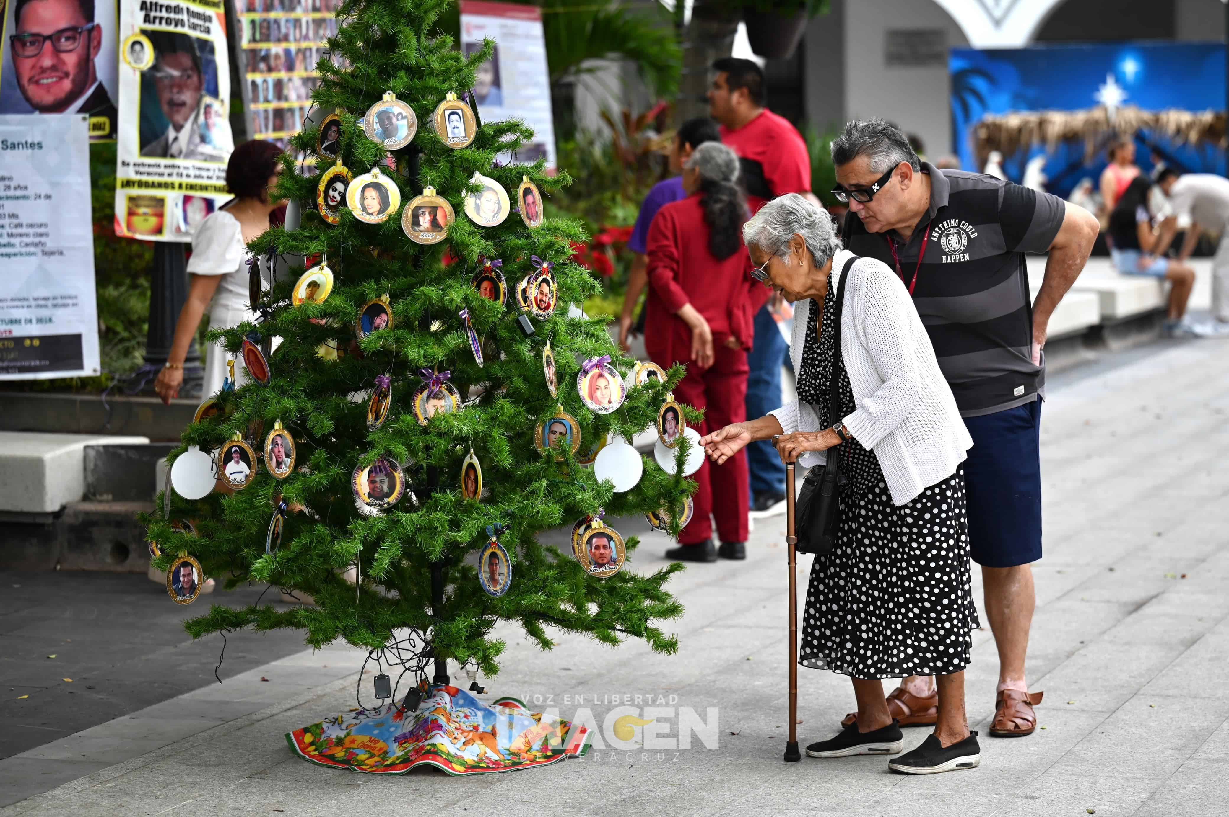 Colectivo Solecito coloca Árbol del Dolor en el zócalo del Puerto de Veracruz 