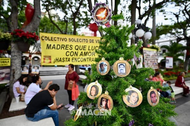 Colectivo Solecito coloca Árbol del Dolor en el zócalo del Puerto de Veracruz 