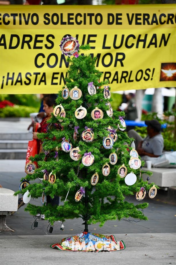 Colectivo Solecito coloca Árbol del Dolor en el zócalo del Puerto de Veracruz 