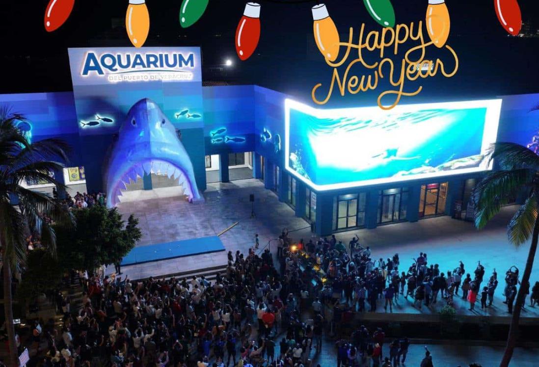 ¿Visitarás el Acuario de Veracruz? Modifican horarios por Navidad y Año Nuevo