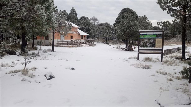 ¿Sentiste frío?; se registra la primera nevada en el Cofre de Perote