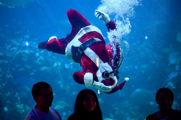 Santa Claus sorprende a locales y turistas en el Aquarium de Veracruz | VIDEO