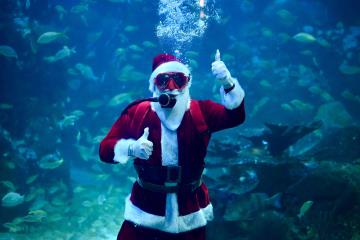 Santa Claus sorprende a locales y turistas en el Aquarium de Veracruz