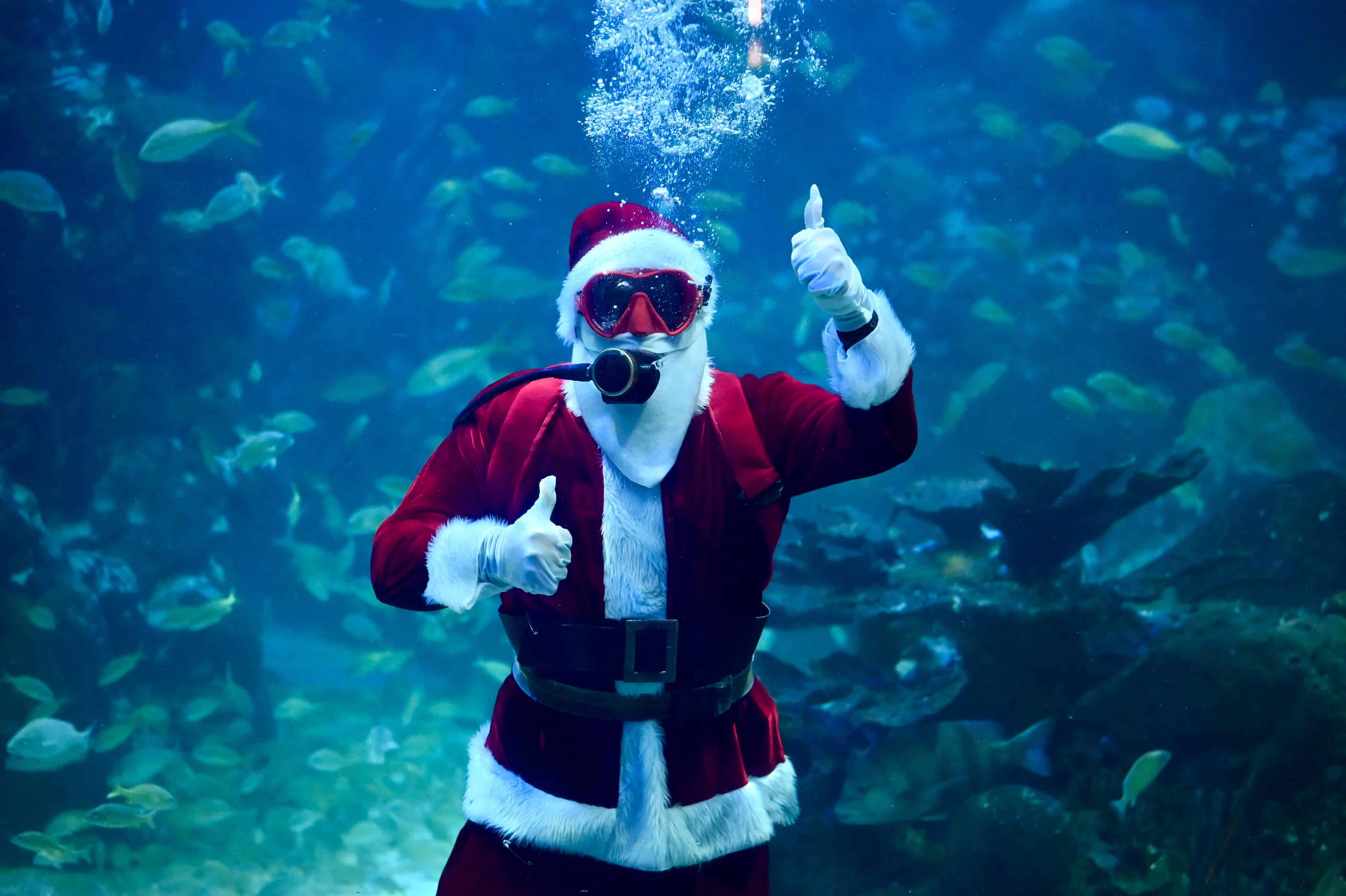 Santa Claus sorprende a locales y turistas en el Aquarium de Veracruz | VIDEO