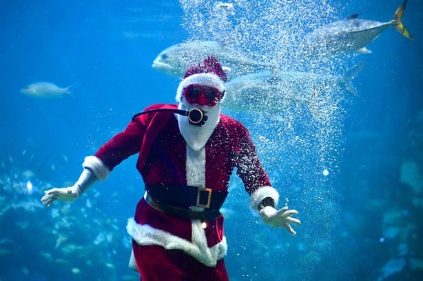 Santa Claus sorprende a locales y turistas en el Aquarium de Veracruz | VIDEO