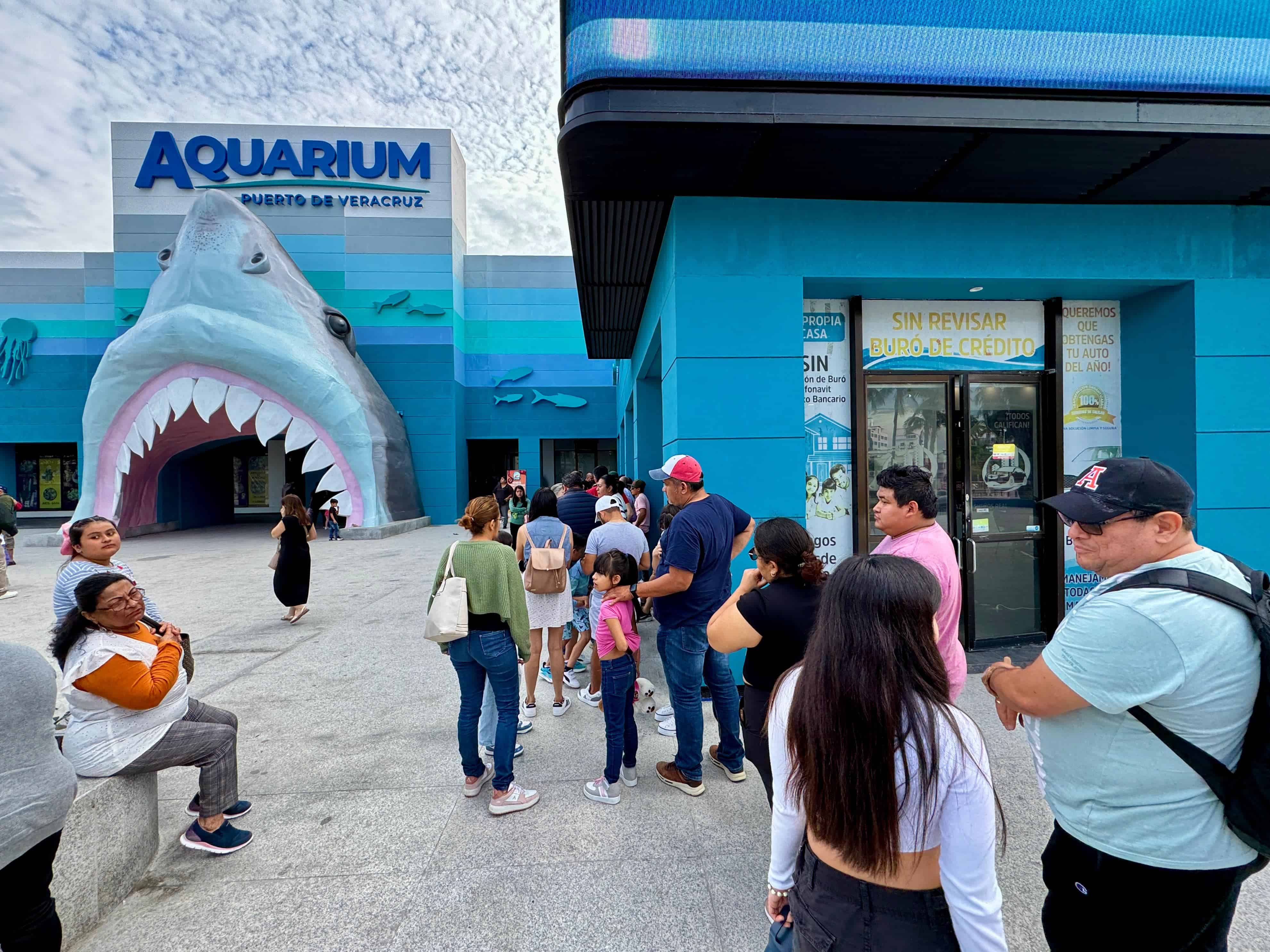 Aquarium del Puerto de Veracruz; uno de los puntos más visitados en vacaciones decembrinas | VIDEO