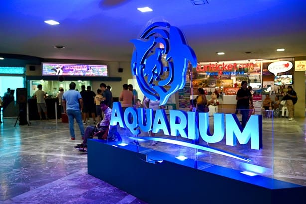 Aquarium del Puerto de Veracruz; uno de los puntos más visitados en vacaciones decembrinas | VIDEO