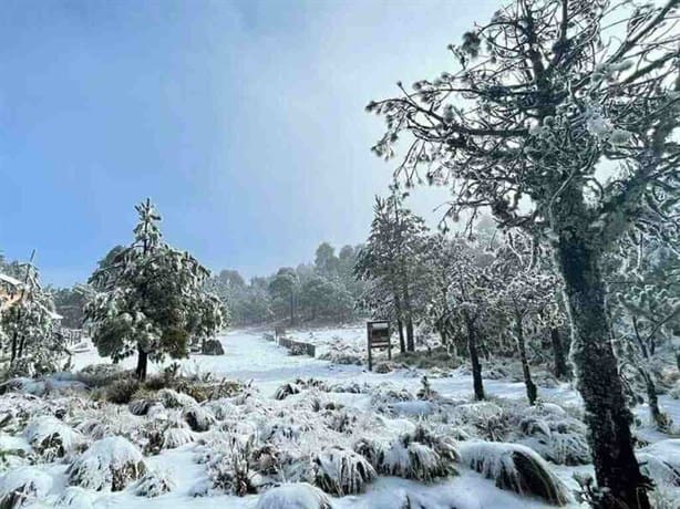 ¿Lo sabías?, estos son los 3 mejores destinos cerca de Xalapa para pasar Navidad y Año Nuevo 