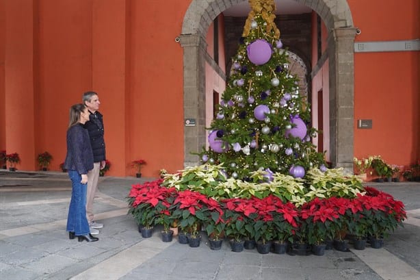 Claudia Sheinbaum desea feliz Navidad a México; "lo más importante es el amor" | VIDEO