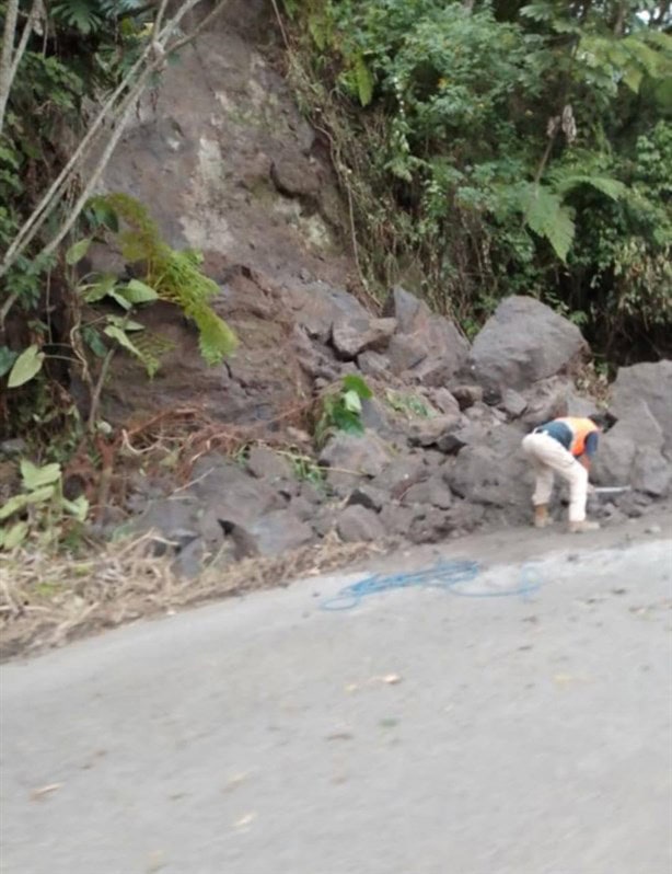 Deslave de madrugada paraliza carril en carretera Tlapacoyan-Atzalan