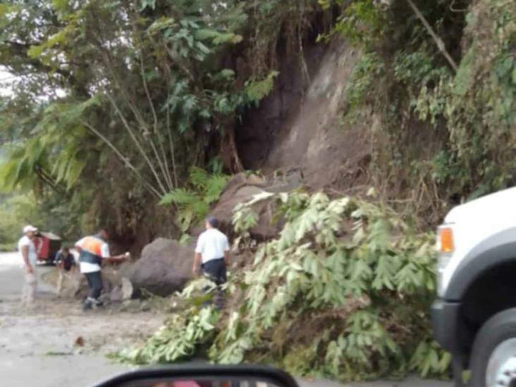 Deslave de madrugada paraliza carril en carretera Tlapacoyan-Atzalan