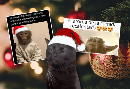 Estos son los mejores MEMES de Navidad 2024 para enviar por WhatsApp, Instagram y Facebook