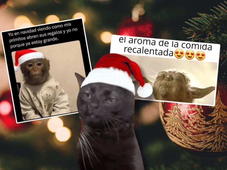 Estos son los mejores MEMES de Navidad 2024 para enviar por WhatsApp, Instagram y Facebook