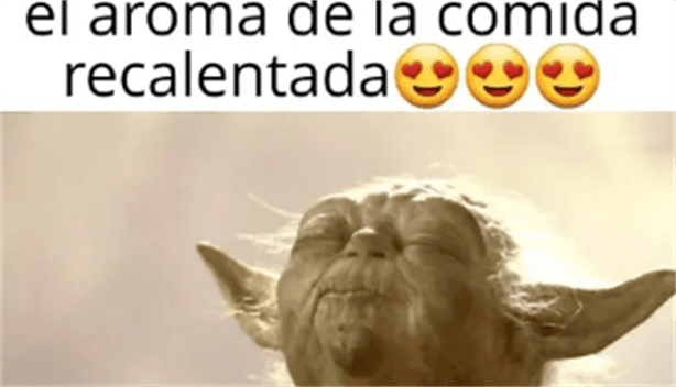 Estos son los mejores MEMES de Navidad 2024 para enviar por WhatsApp, Instagram y Facebook