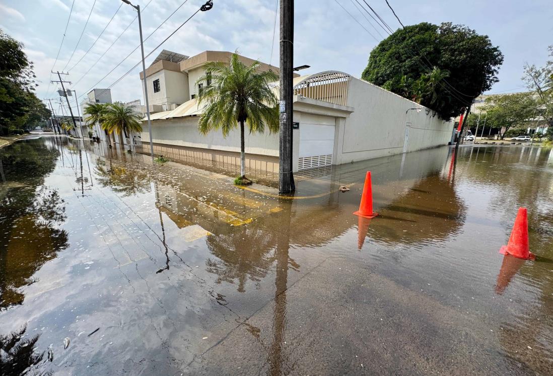 Se registra mega fuga de agua en la colonia Moderno en Veracruz | VIDEO