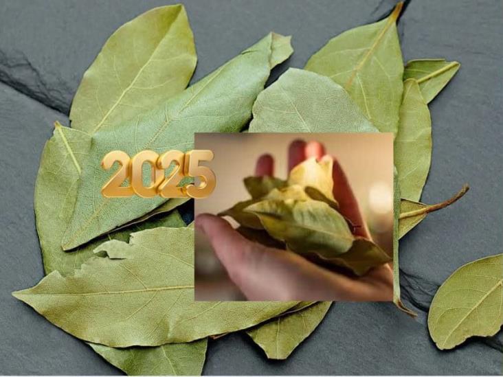 Año Nuevo 2025: ¿Para qué sirven las hojas de laurel en la celebración?