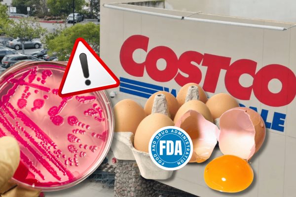 Huevos con salmonela en Costco: ¿Cómo identificar si compraste producto contaminado? Huevos con salmonela en Costco: ¿Cómo identificar si compraste producto contaminado?