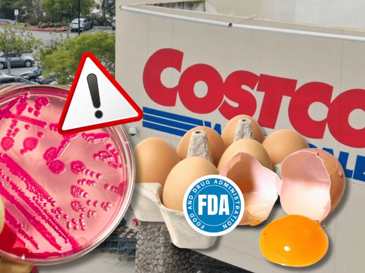 Huevos con salmonela en Costco: ¿Cómo identificar si compraste producto contaminado?