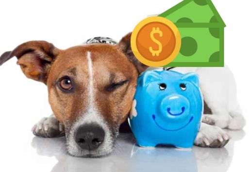 ¿Vas a adoptar a un perrito? Estos son todos los gastos que debes considerar