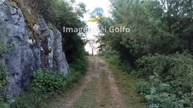 Macabro: localizan cadáver putrefacto al fondo de un barranco en Nogales