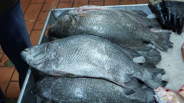 ¿Cuánto cuesta la mojarra en los mercados de Veracruz para el Año Nuevo 2025?