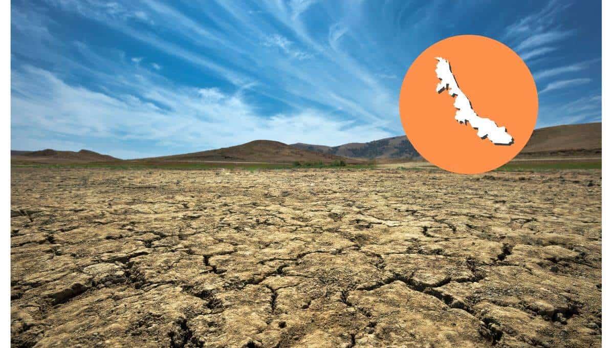 Conagua: Sin lluvias y sequías, esto le espera a Veracruz al inicio de 2025