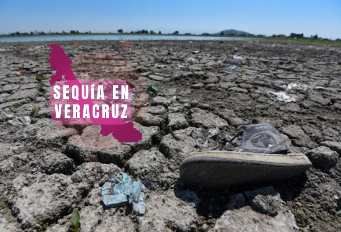 Veracruz podría enfrentar problemas de sequía a inicios de 2025: Conagua