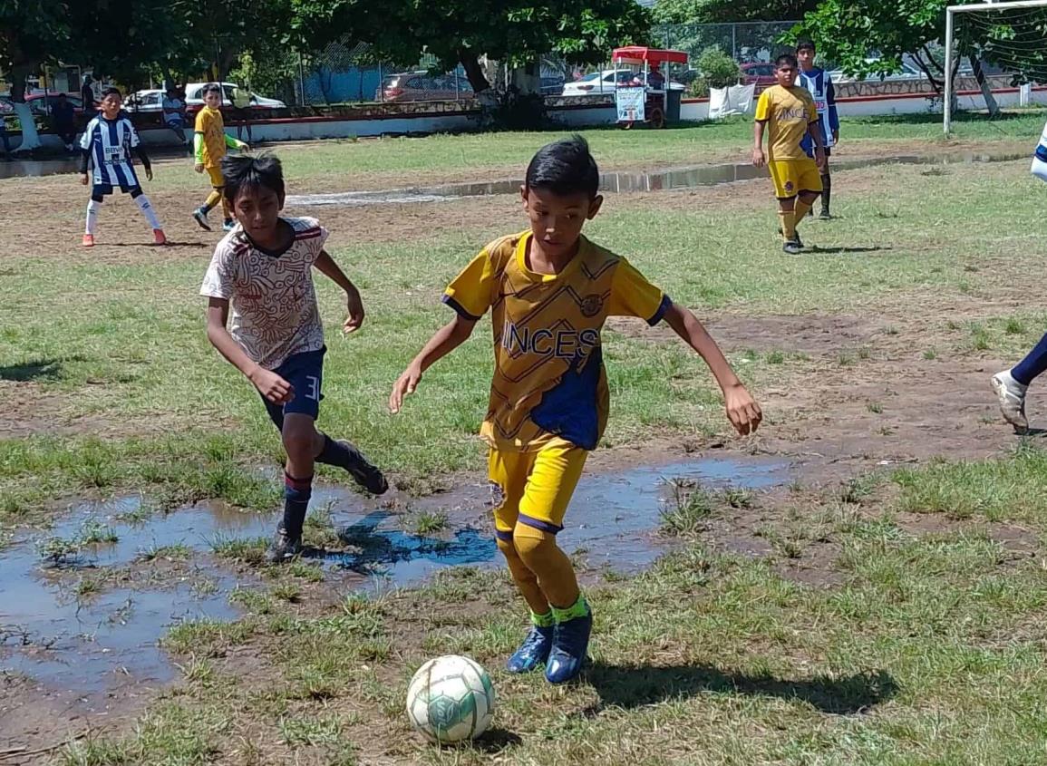 Copa Corona de Reyes a la vista