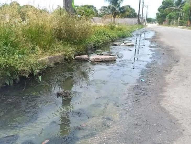 Vecinos de Agua Dulce llevan más de un año entre aguas negras ¡es un foco de infección!