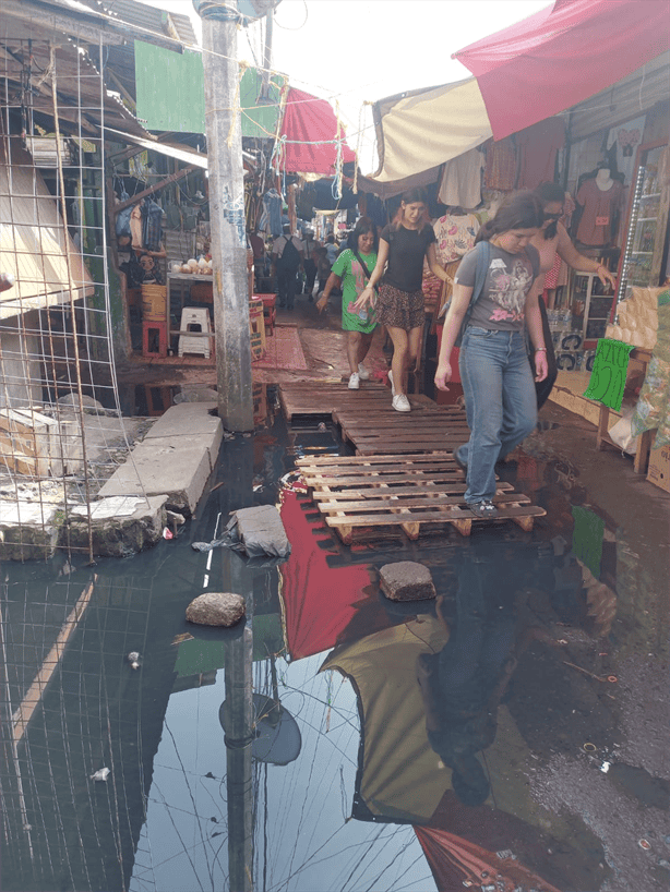 Aguas negras inundan el mercado Unidad Veracruzana: locatarios exigen solución