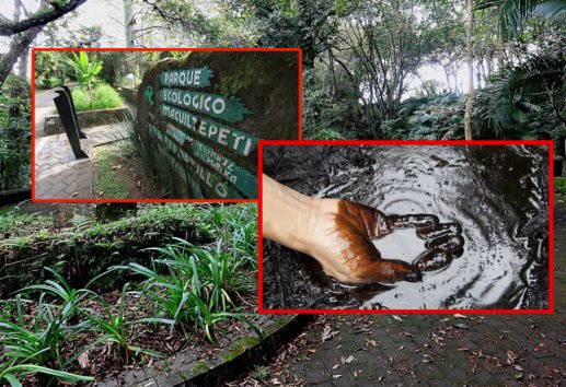 Cierran parque ecológico del cerro de Macuiltépetl tras hallar un yacimiento de petróleo 