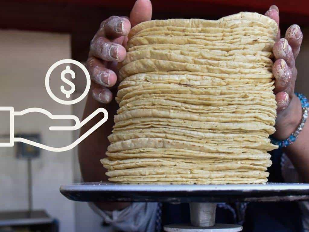 Precio de la tortilla en México podría dispararse en 2025; así lo frenarían