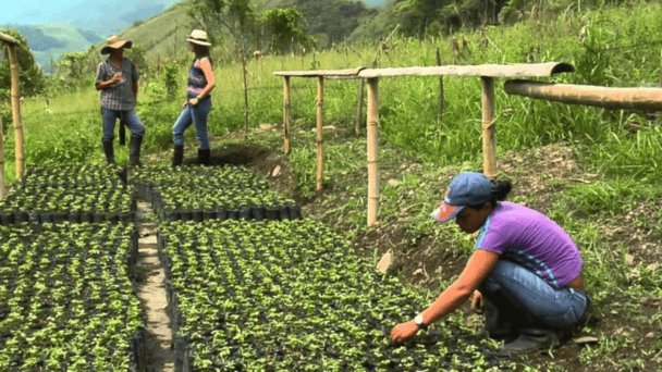 Veracruz y el reto de una economía estancada