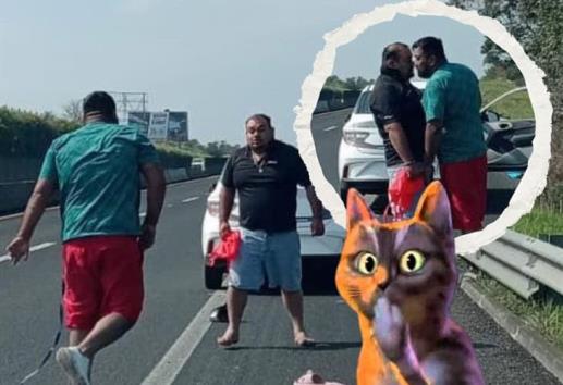 ¡Del odio al amor! Pelea en la carretera 140 deja a todos atónitos