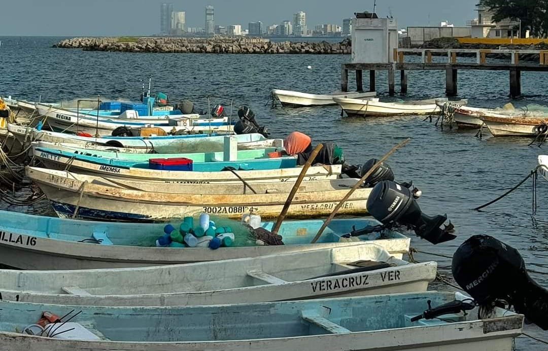 Pescadores de Veracruz resguardan lanchas ante el frente frío 19