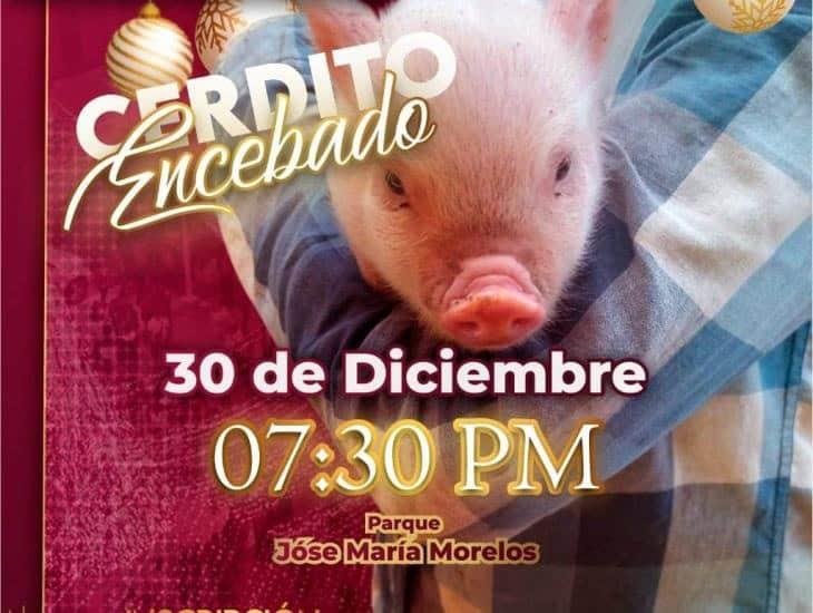 Asociación civil pide cancelar concurso de El cerdito encebado en Jáltipan; acusan maltrato animal