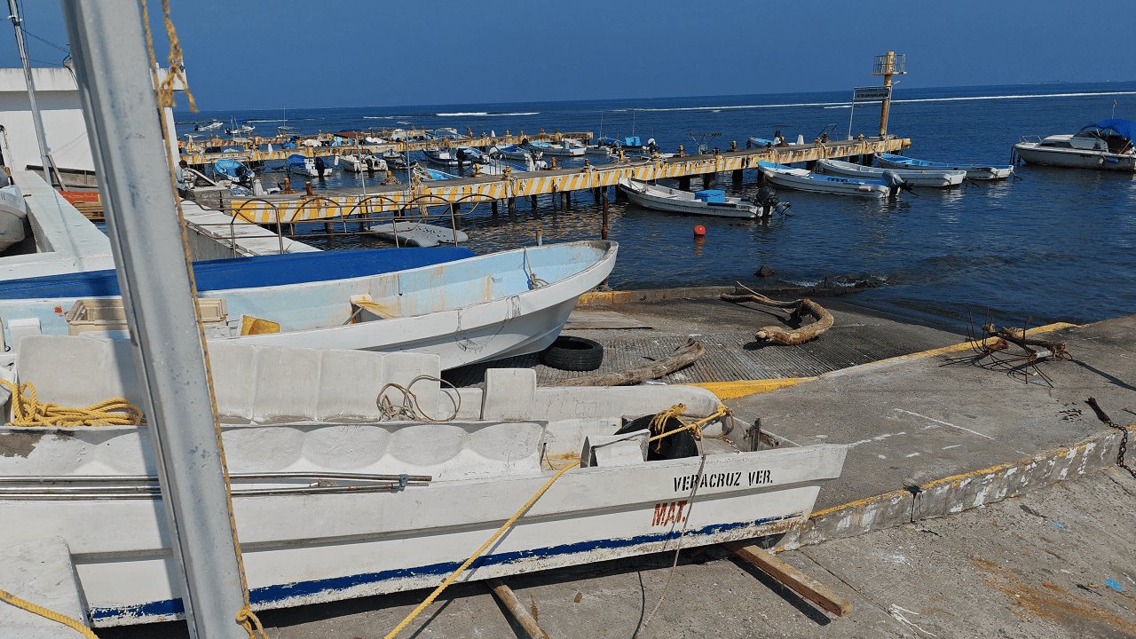 Pescadores de Veracruz enfrentan desafíos por falta de nortes y corridas de especies