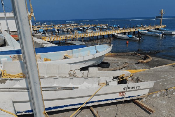 Pescadores de Veracruz enfrentan desafíos por falta de nortes y corridas de especies