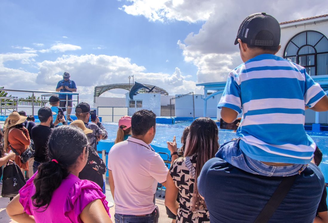 Aquarium de Veracruz rompe récord de asistencia en 2024