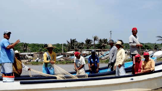 Pescadores de Veracruz enfrentan frentes fríos con optimismo por capturas constantes