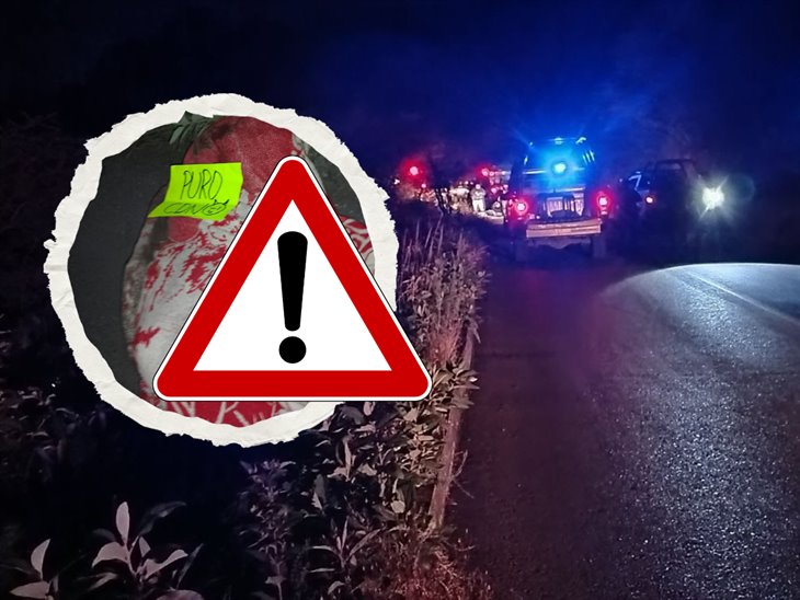 Sin identificar, cadáver hallado en carretera de Nogales; fue asesinado a machetazos