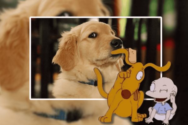 ¿Lo sabías? Esta es la razón por lo que a los perros le llaman firulais
