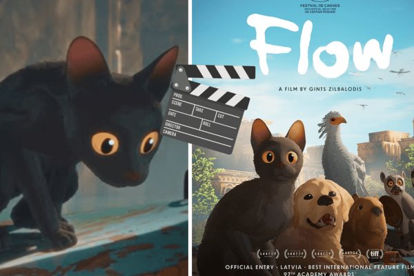 Dónde ver la película completa de "Flow", el nuevo estreno que es tendencia en críticas