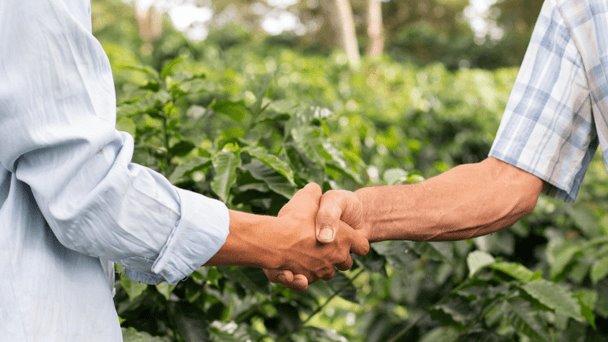 Comités de vigilancia ambiental participativa